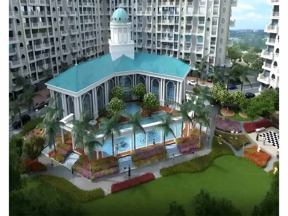 Tharwani Meghna Montana